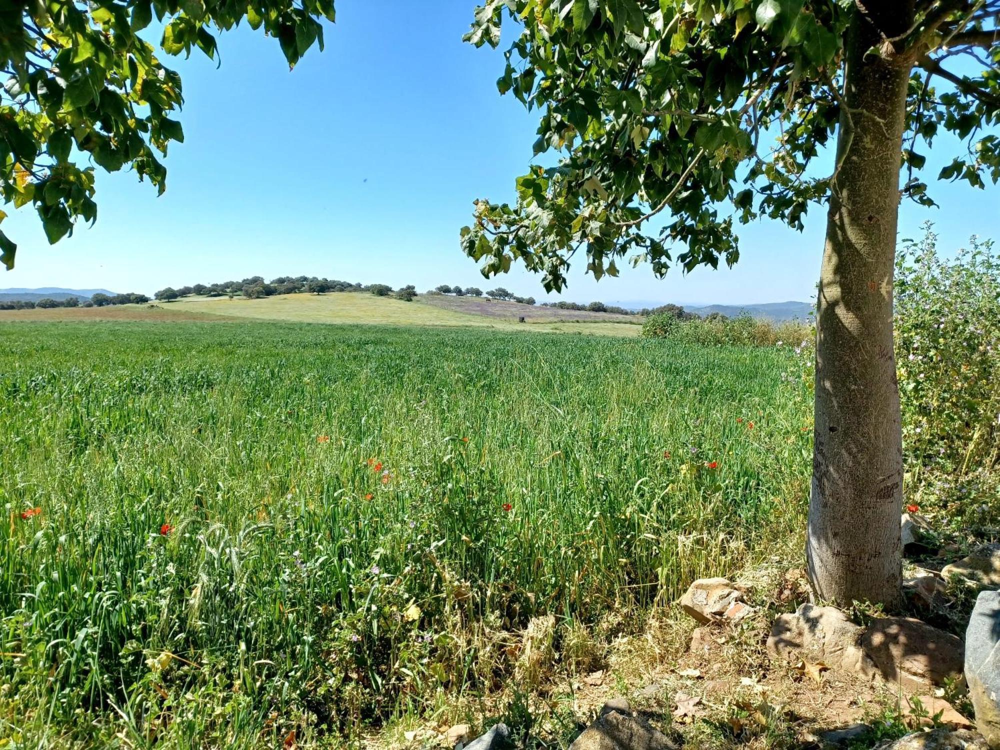 فيلا Casa Bibiana Posadilla المظهر الخارجي الصورة